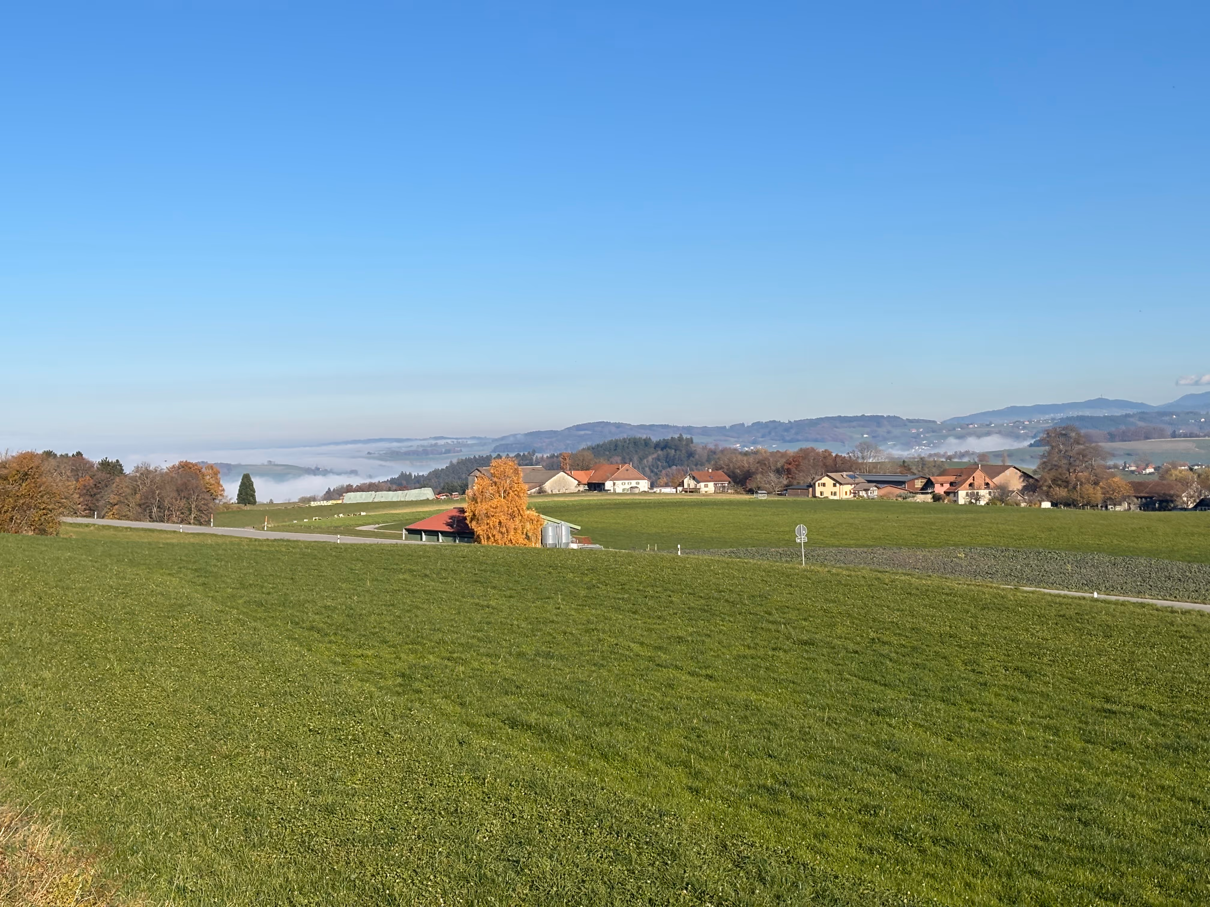 Ravalement de façade d'un immeuble à Bulle