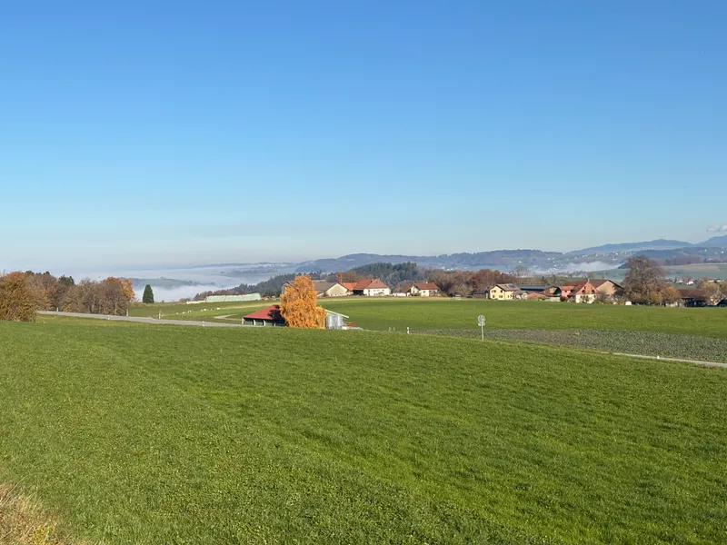 Celia the most beautiful <3